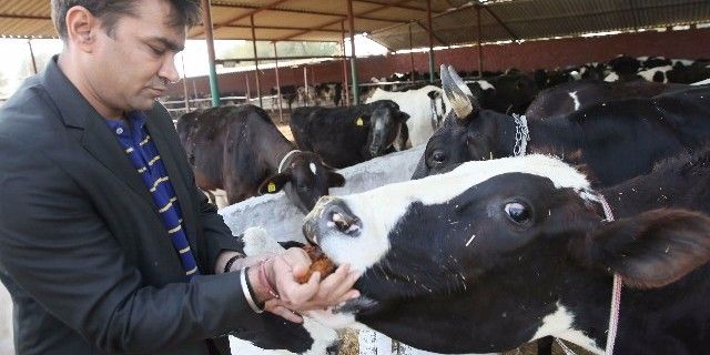 IIT, IIM और विदेशों में पढ़ाई कर करोड़ों कमाने वाले गाय पालने के लिए लौटे गांव, किसानों को बताते हैं फायदे
